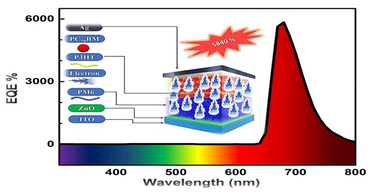 A New Chapter for Narrow-Band Deep Red Light Sensing: Low-Bias Organic Photodetectors