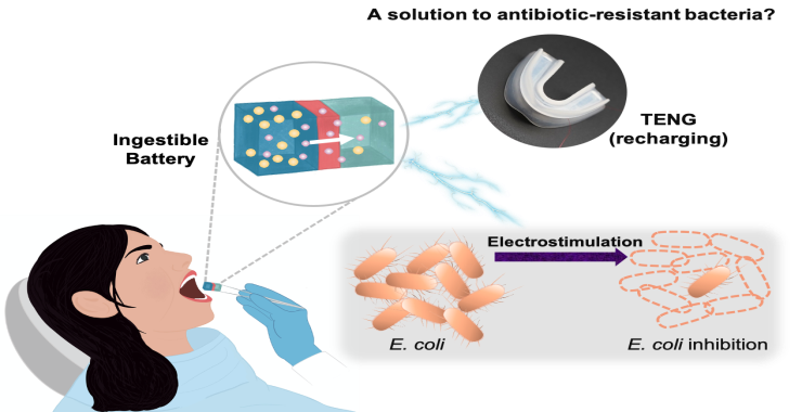 Graphical abstract